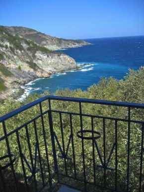 Spilia Mamma Mia, Glossa